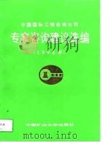 中国国际工程咨询公司专家咨询建议选编  1994年   1997  PDF电子版封面  781040511X  石启荣主编 