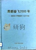 鸢都奋飞2000年  潍坊市十年规划与“八五”计划（1992 PDF版）