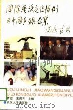 国际经济交往惯例与中国乡镇企业（1994 PDF版）