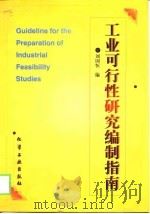工业可行性研究编制指南   1999  PDF电子版封面  7502522719  刘国恒编 