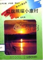 红旗照耀小康村   1992  PDF电子版封面  7805773297  赵凤翔主编 