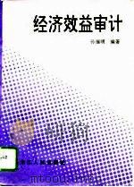 经济效益审计   1995  PDF电子版封面  7207031343  孙福明编著 