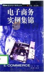 电子商务实例集锦   1999  PDF电子版封面  7801432398  陈伟编著 