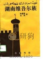 湖南维吾尔族（1994 PDF版）