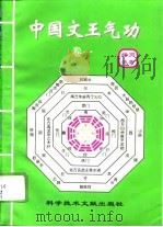 中国文王气功  卷一   1996  PDF电子版封面    杨启润 
