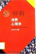 消费心理学   1998  PDF电子版封面  7506414414  樊文娟编著 