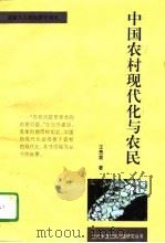 中国农村现代化与农民（1994 PDF版）