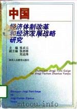 中国经济体制改革和经济发展战略研究（1997 PDF版）