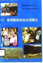 维西傈僳族自治县概况（1990 PDF版）