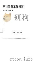 审计实务工作问答   1987  PDF电子版封面    林钟高，曾子敬编 