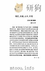 麦格雷警长的圣诞节   1981  PDF电子版封面    傅惟慈选编 