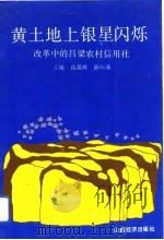 黄土地上银星闪烁  改革中的吕梁农村信用社（1992 PDF版）