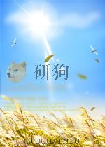 中国现代诗论下编     PDF电子版封面     
