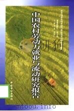中国农村劳动力就业与流动研究报告（1999 PDF版）