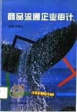 商品流通企业审计   1996  PDF电子版封面  7800645029  刘家义主编 