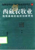 西藏农牧业微观基础的组织创新研究   1998  PDF电子版封面  7223011017  俞允贵等著 