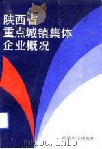 陕西省重点城镇集体企业概况   1989  PDF电子版封面  7505802968  陕西省人民政府办公厅信息处编 