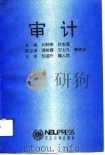 审计   1993  PDF电子版封面  7810066072  刘树彬，许志强主编 