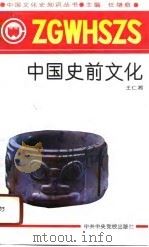 中国史前文化   1991  PDF电子版封面  7503504552  王仁湘编著 