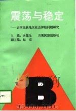 震荡与稳定  云南民族地区社会保险问题研究（1995 PDF版）