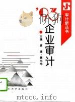 93企业审计   1993  PDF电子版封面    张思武，文盛贵 