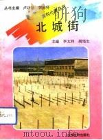 北城街   1993  PDF电子版封面  7805773297  李太祥，胡培生主编王国民执笔 