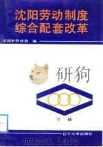 沈阳劳动制度综合配套改革  下（1992 PDF版）