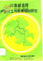 川南城市群产业分工与发展规划研究（1993 PDF版）
