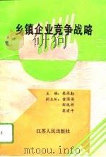 乡镇企业竞争战略   1993  PDF电子版封面  7214012308  栾承勤主编 