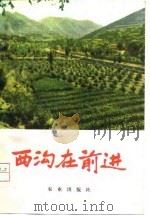 西沟在前进   1976  PDF电子版封面    中共平顺县委员会编 