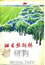 红日照桐林  兰考诗集（1974 PDF版）