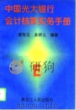 中国光大银行会计核算实务手册   1996  PDF电子版封面  7207034148  惠有玉，吴明义编著 