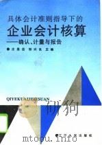 具体会计准则指导下的企业会计核算  确认、计量与报告   1996  PDF电子版封面  7205036496  庄恩岳，郑兴良主编 