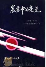 晨雾中的亮点  1978年-1988年广东省业余获奖剧作选   1990  PDF电子版封面  7104002383  中国戏剧家协会广东分会，广东省群众艺术馆编 