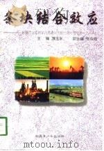 条块结合效应  新疆巴音郭楞蒙古自治州开放性融合型经济理论与实践（1998 PDF版）