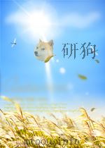 《经济学文摘》选编 1983年   1984年08月第1版  PDF电子版封面    《经济学文摘》编辑部 