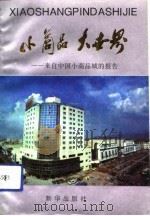 小商品  大世界  来自中国小商品城的报告（1993 PDF版）
