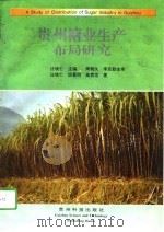 贵州糖业生产布局研究   1996  PDF电子版封面  7805845069  汪境仁主编 