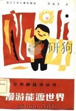 漫游能源世界   1986  PDF电子版封面    姜迅生著 