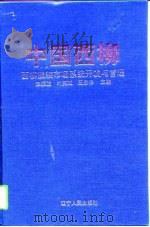中国西柳  西柳服装市场系统开发与管理   PDF电子版封面  7205028930  赵振波等主编 