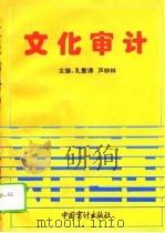 文化审计   PDF电子版封面  7800643638  孔繁涛，芦钟林主编 