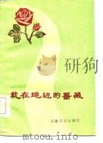 栽在地边的蔷薇   PDF电子版封面    王夫臣等著；阜阳文联筹编 