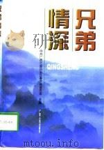 兄弟情深（1998 PDF版）