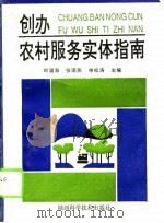 创办农村服务实体指南   1994  PDF电子版封面  7536919964  刘溢海等主编 