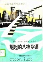 崛起的八桂乡镇   1993  PDF电子版封面  7536327544  梁华腾等主编 