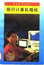 银行计算机稽核（1993 PDF版）