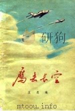 鹰击长空   1977  PDF电子版封面    王忠瑜著 