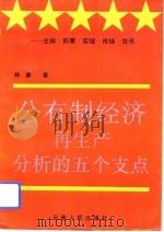 公有制经济再生产分析的五个支点  主体、积累、实现、市场、货币   1993  PDF电子版封面  7222011722  韩康著 