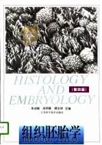 组织胚胎学  第4版   1997  PDF电子版封面  7534500206  朱启锭等主编 