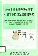 社会主义市场经济体制下中国农业持续发展战略   1996  PDF电子版封面  780093876X  郭焕成主编 